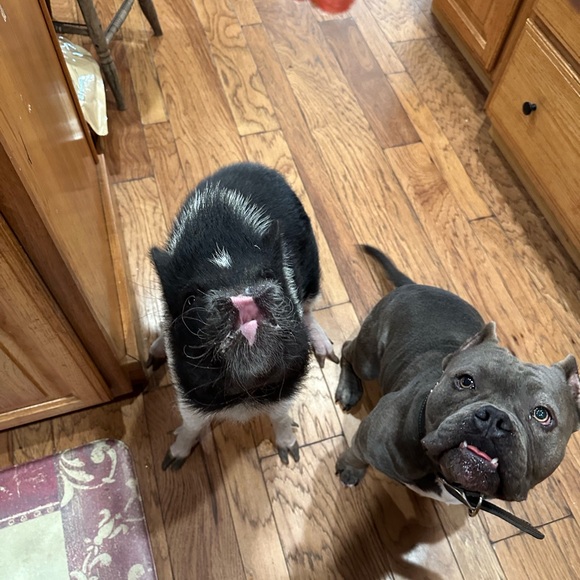 Meet your Posher, Linda - Picture 16 of 16